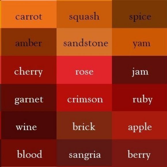 Clothing || Ties & Scarves - Picture 8 of 14